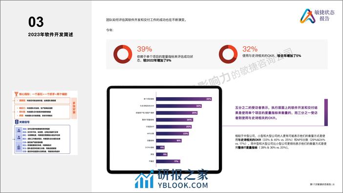 2023版全球敏捷状态报告（第17次） - 第6页预览图