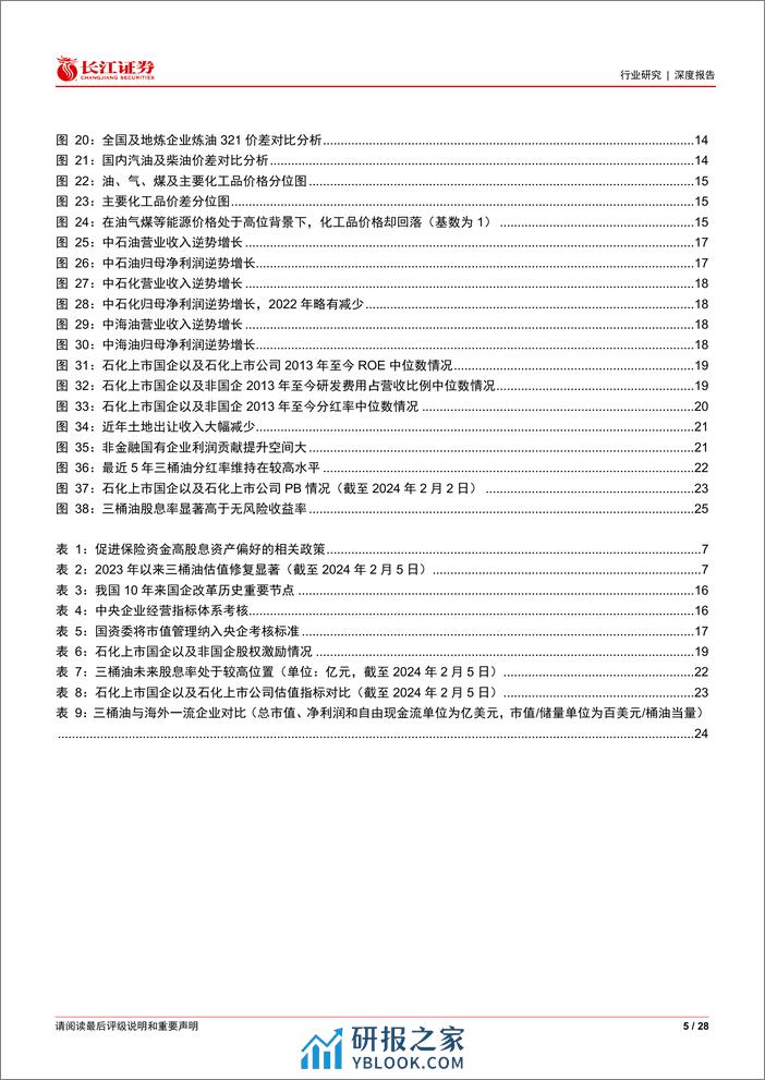 石化行业深度报告：如何看待石化高股息的持续性？ - 第5页预览图