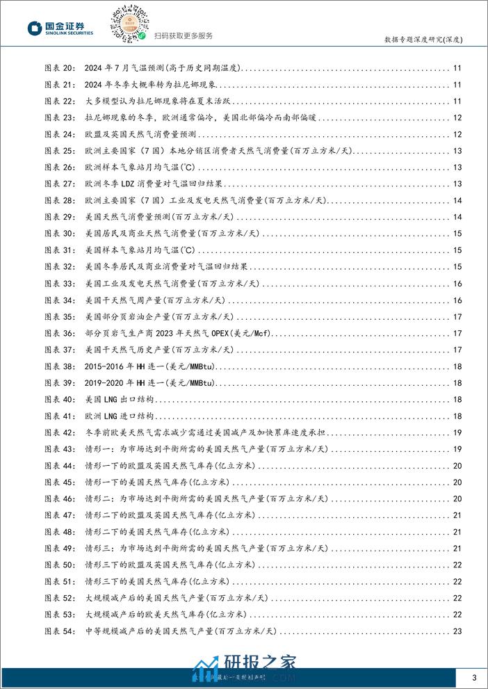 数据专题深度研究：2024年，天然气市场重返平衡之路-国金证券 - 第3页预览图