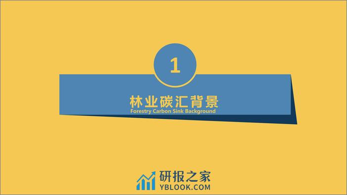 2023国内外林业碳汇发展现状报告-谈汇宝 - 第3页预览图