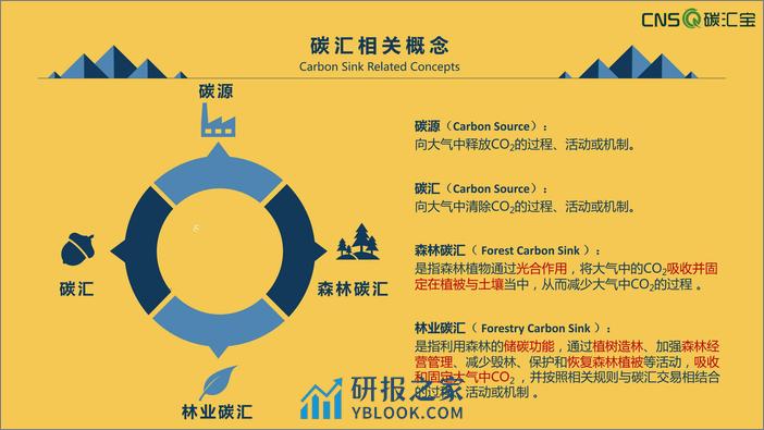 2023国内外林业碳汇发展现状报告-谈汇宝 - 第4页预览图