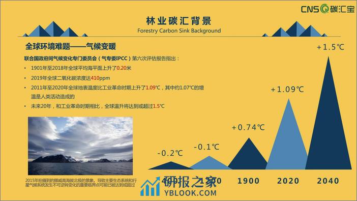 2023国内外林业碳汇发展现状报告-谈汇宝 - 第5页预览图