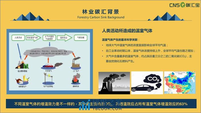 2023国内外林业碳汇发展现状报告-谈汇宝 - 第6页预览图