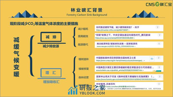 2023国内外林业碳汇发展现状报告-谈汇宝 - 第7页预览图