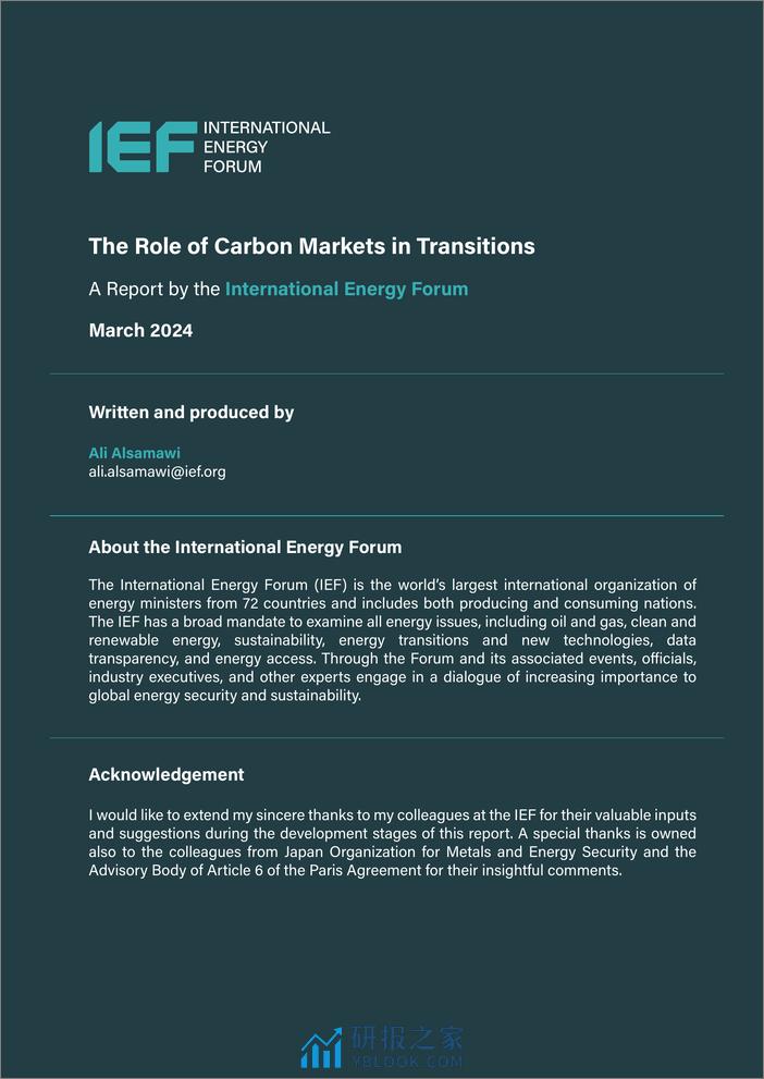 IEF-碳市场在转型中的作用（英）-2024.3-31页 - 第2页预览图