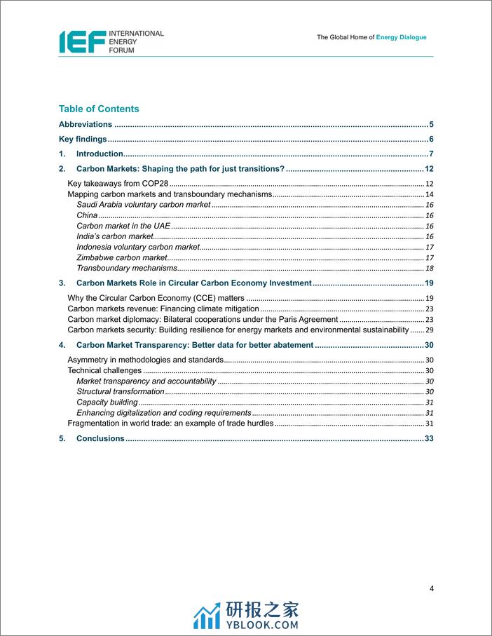 IEF-碳市场在转型中的作用（英）-2024.3-31页 - 第3页预览图