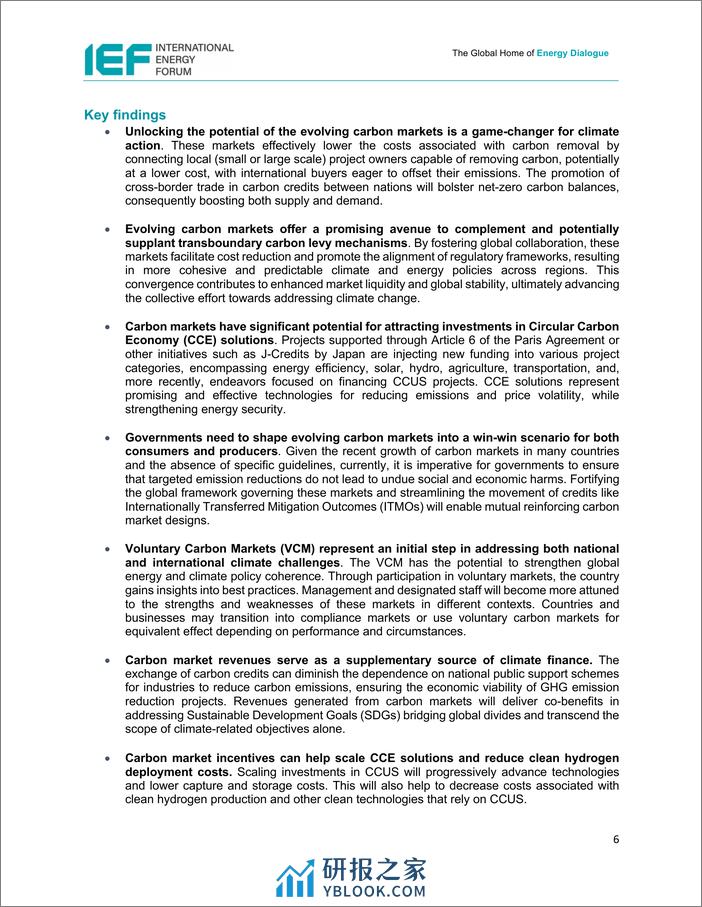 IEF-碳市场在转型中的作用（英）-2024.3-31页 - 第5页预览图