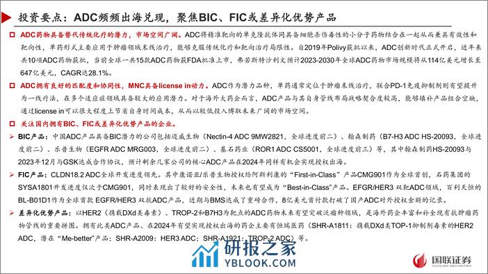 抗体偶联药物行业报告：ADC频频出海兑现，聚焦BIC、FIC或差异化优势产品 - 第2页预览图