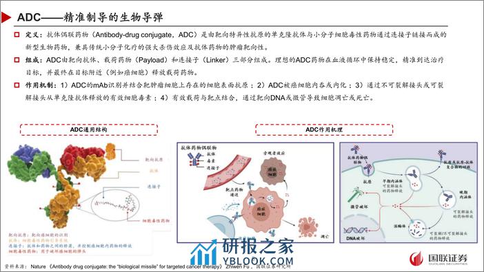 抗体偶联药物行业报告：ADC频频出海兑现，聚焦BIC、FIC或差异化优势产品 - 第5页预览图