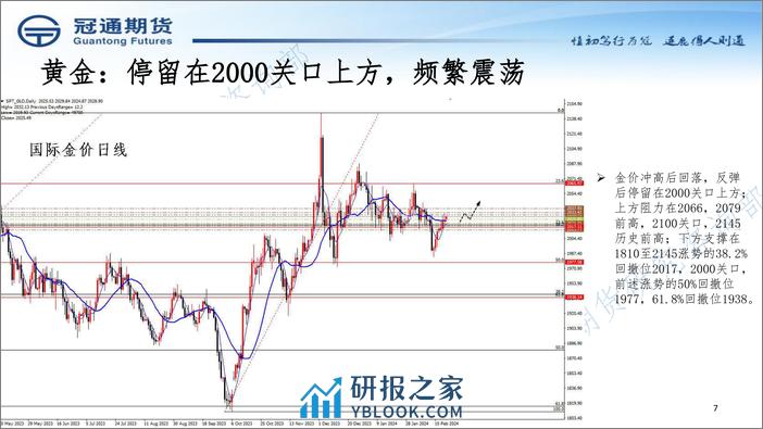 近期策略展望-20240222-冠通期货-17页 - 第7页预览图