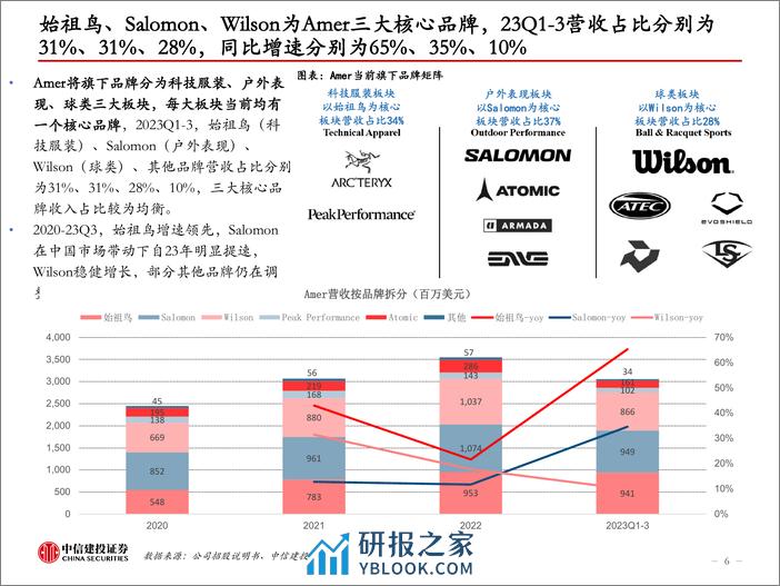 纺织服装行业：Amer招股书拆解，国内成主要驱动 - 第6页预览图