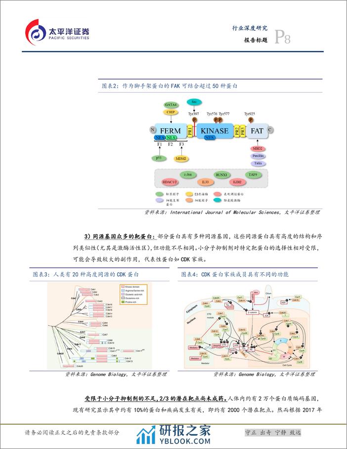 生物医药Ⅱ创新无界系列之二-蛋白降解剂行业研究-太平洋 - 第8页预览图
