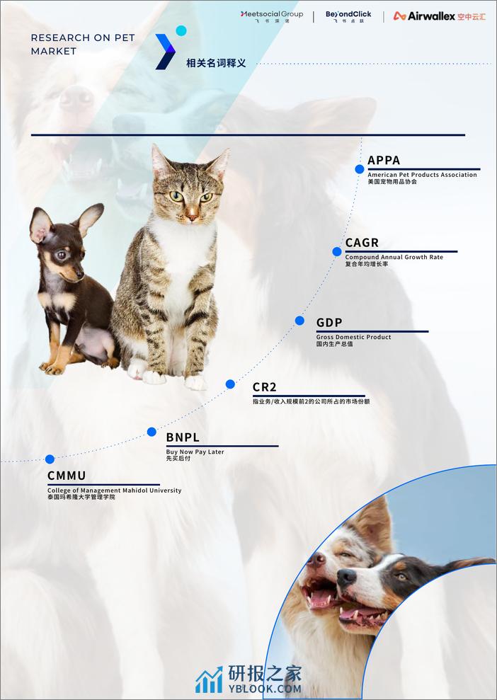 飞书深诺：2022全球宠物市场白皮书 - 第7页预览图