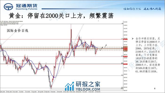 近期策略展望-20240220-冠通期货-18页 - 第8页预览图