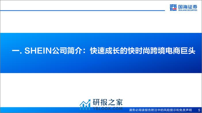 快时尚跨境电商：SHEIN：大音希声 - 第5页预览图