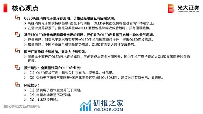 OLED行业跟踪报告之二：存量市场和增量市场共振，OLED行业迎来供需拐点 - 第2页预览图