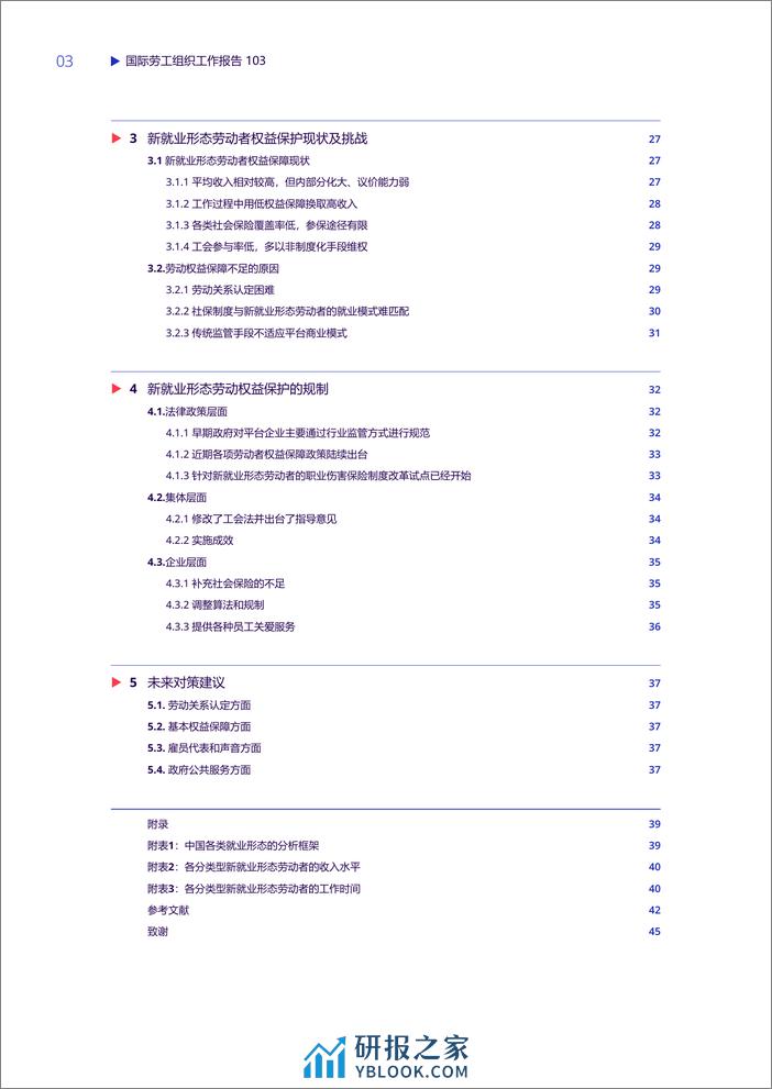 中国的新就业形态和劳动者权益保障 - 第6页预览图