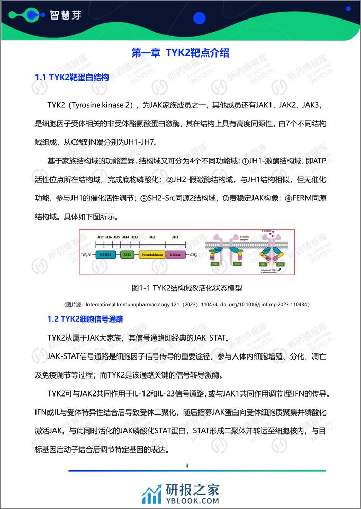 2024年TYK2抑制剂药物研发及专利调研报告 - 第5页预览图