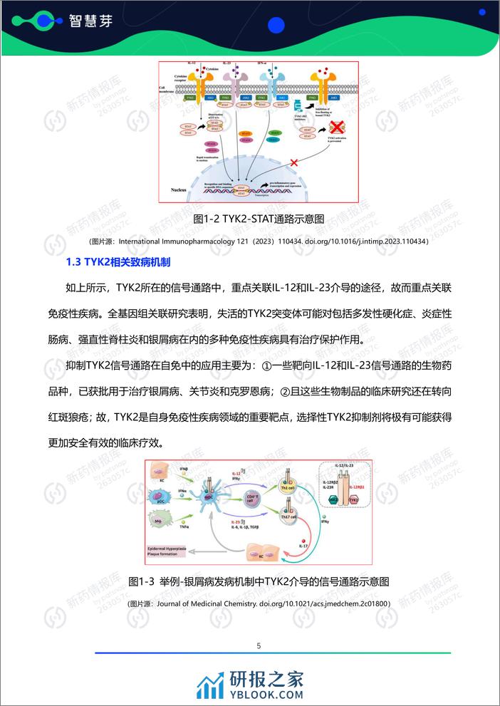 2024年TYK2抑制剂药物研发及专利调研报告 - 第6页预览图