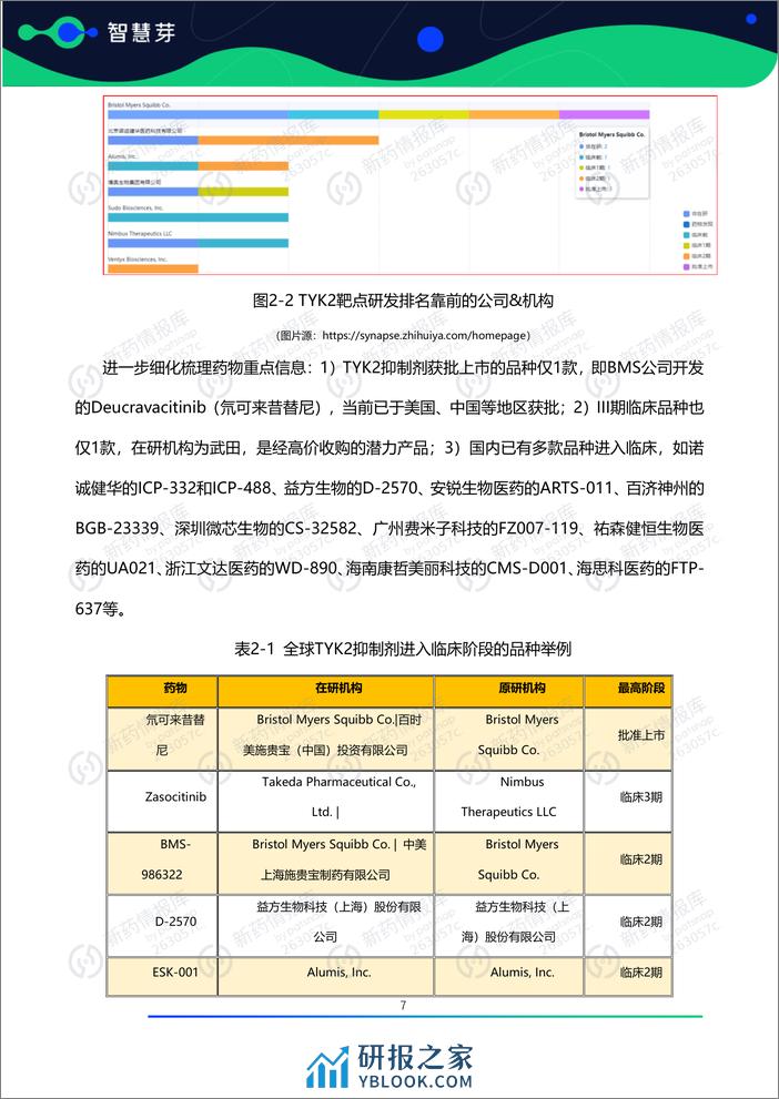 2024年TYK2抑制剂药物研发及专利调研报告 - 第8页预览图