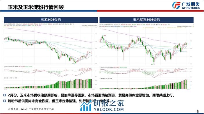 玉米月报：收储支撑市场情绪，3月仍面临集中上量压力-20240303-广发期货-23页 - 第5页预览图