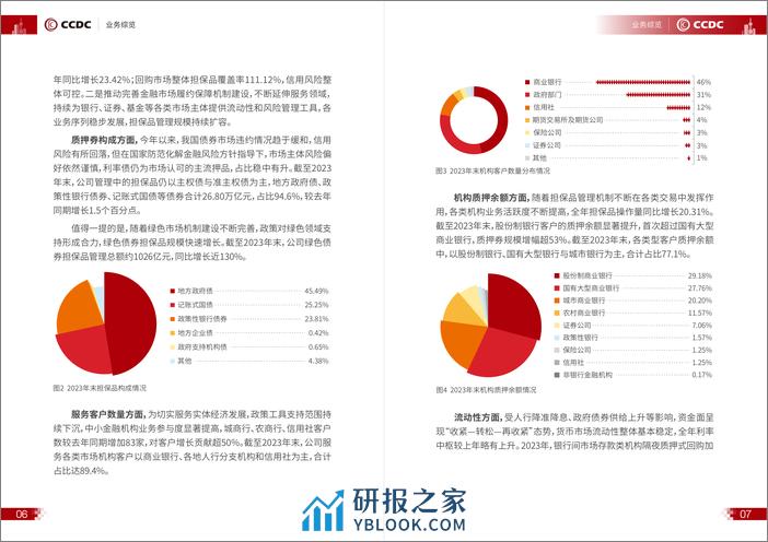 2023年担保品管理服务年度报告 - 第6页预览图