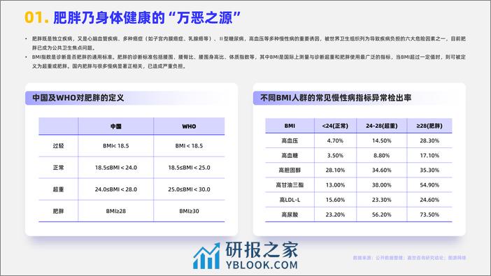 嘉世咨询：2023减肥药品行业简析报告 - 第2页预览图