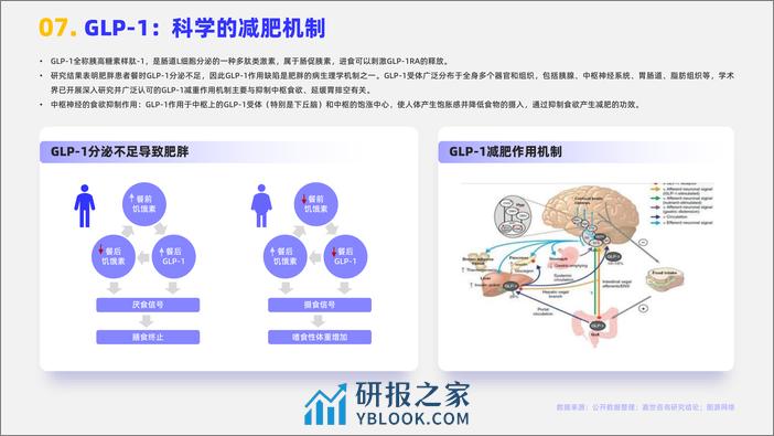 嘉世咨询：2023减肥药品行业简析报告 - 第8页预览图