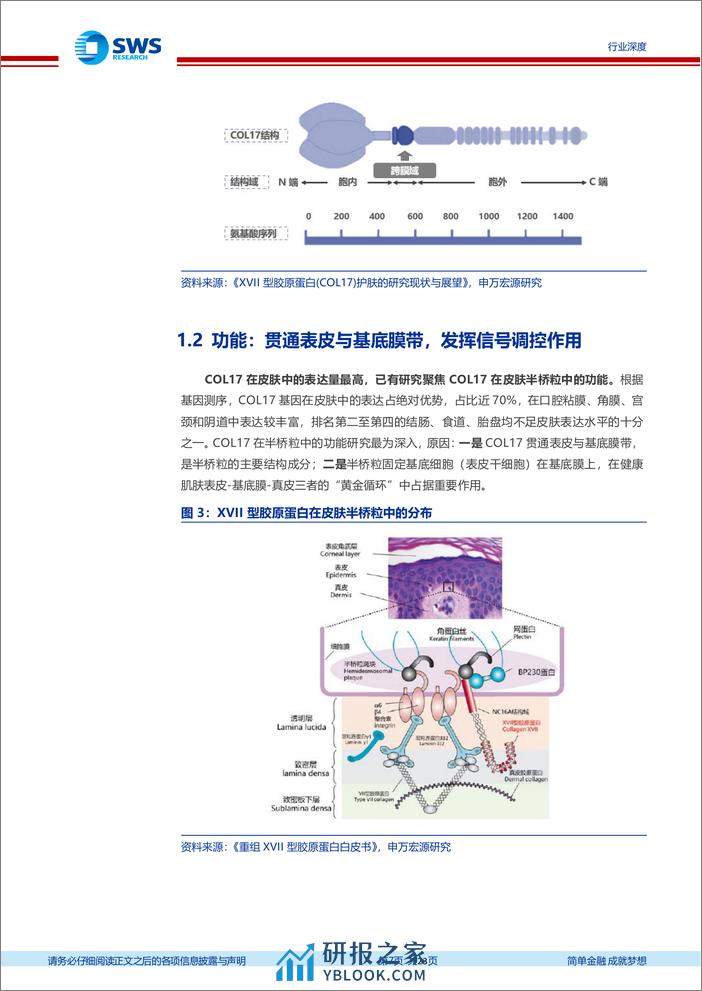 专精特新行业深度系列报告之五：重组XVII型胶原—产业化初露锋芒，重组COL17促抗衰新场景 - 第7页预览图