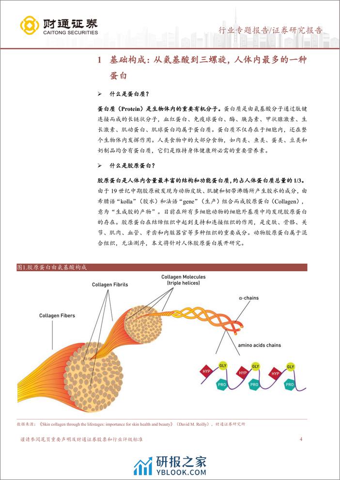 胶原蛋白系列之一：结构、功能、自组装与交联 (1) - 第4页预览图