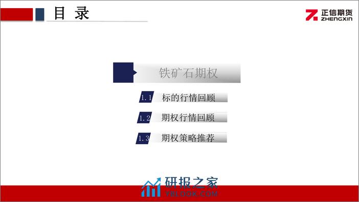 铁矿石期权月报：矿价宽幅运行 期权隐波微升-20240202-正信期货-13页 - 第3页预览图