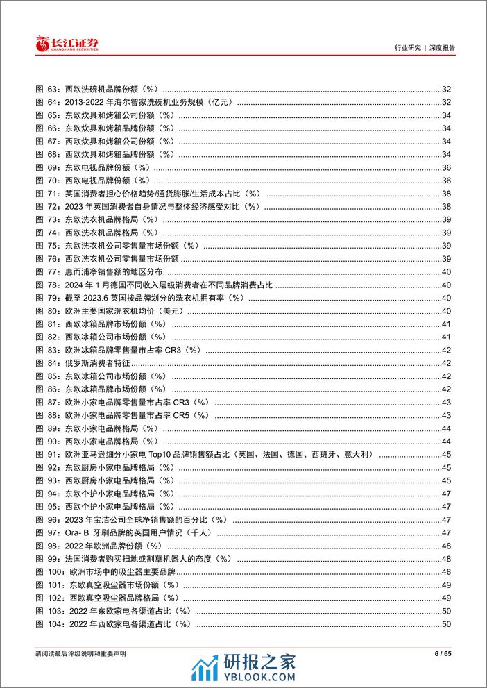 家用电器行业全球视野看家电之欧洲：调整中孕育新机会 - 第6页预览图