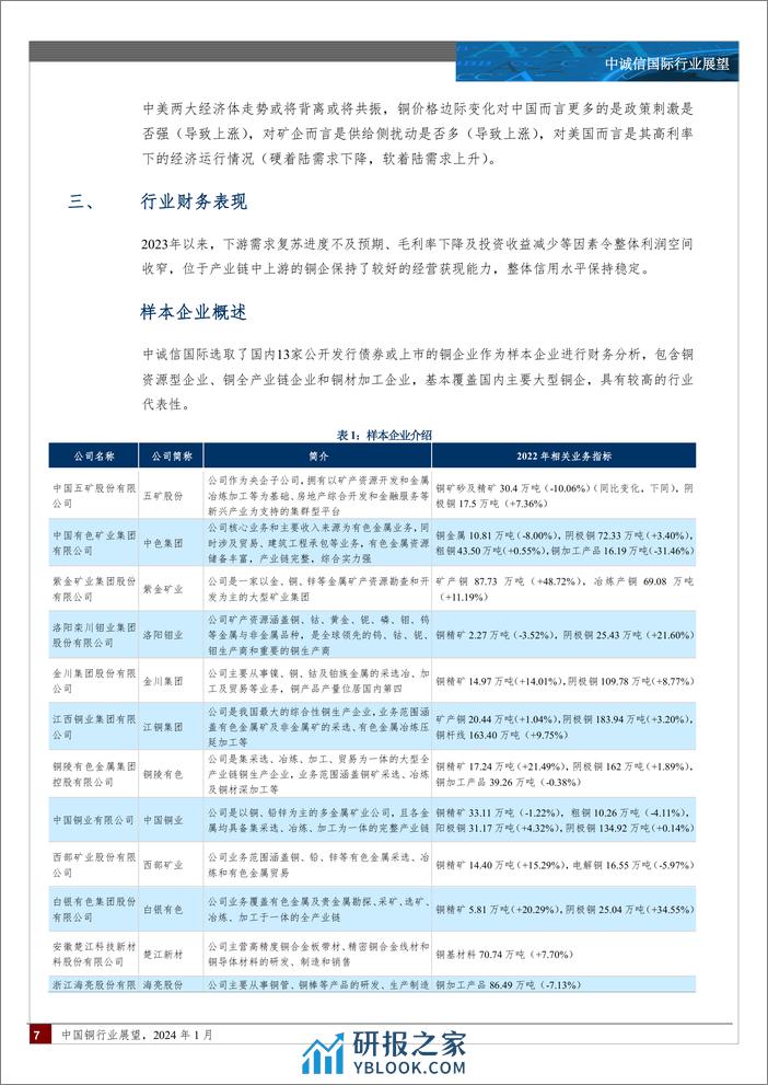 中国铜行业展望（2024年1月）-14页 - 第6页预览图