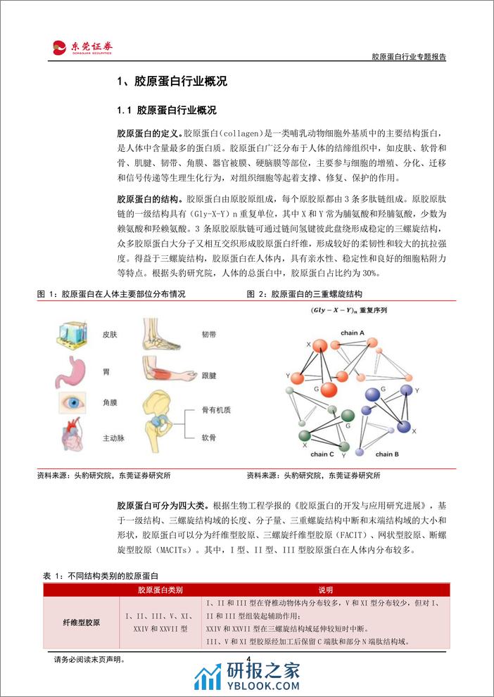 胶原蛋白行业专题报告：以研发为基石，多向发展共迎蓝海 - 第4页预览图