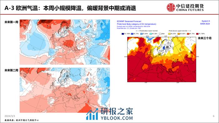 TTF超跌反弹或告一段落，HH利多因素累积-20240303-中信建投期货-33页 - 第6页预览图