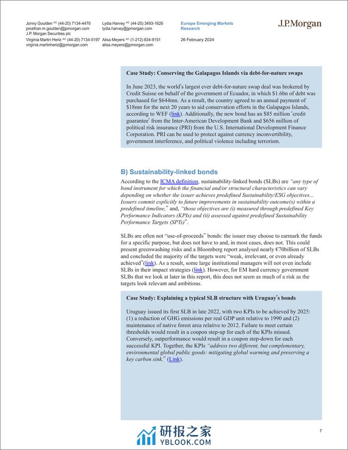 JPMorgan-The EM Fixed Income Sustainable Debt Asset Class Introducing...-106709696 - 第6页预览图