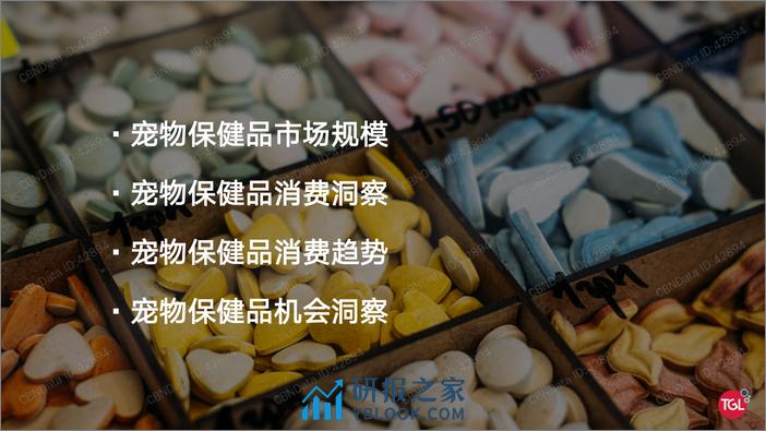 2021-中国宠物保健品消费趋势及机会洞察 - 第2页预览图