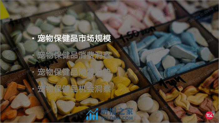 2021-中国宠物保健品消费趋势及机会洞察 - 第3页预览图