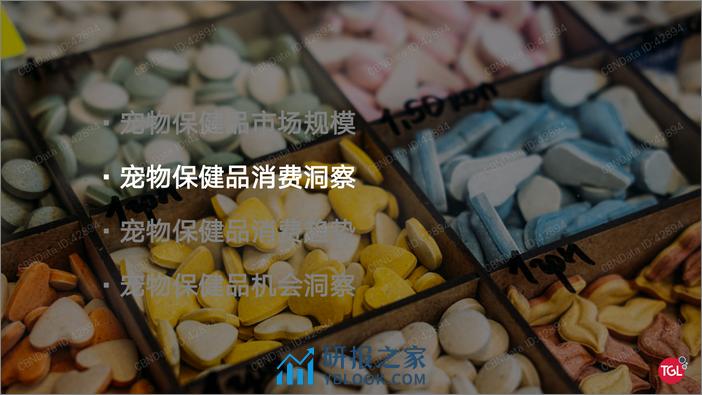 2021-中国宠物保健品消费趋势及机会洞察 - 第7页预览图