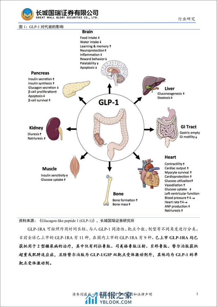 深度报告-20240315-长城国瑞证券-GLP-1行业_减重GLP-1RA长效制剂在华之旅即将开启_速度为王_24页_2mb - 第7页预览图