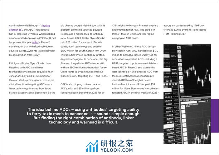 评估报告评估-抗体驱动的细菌偶联物-13页 - 第5页预览图