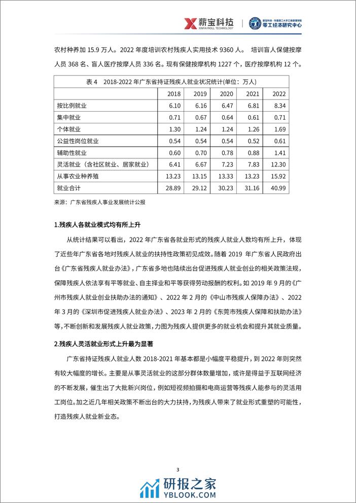 2024中国残疾人就业研究报告-零工经济研究中心-30页 - 第7页预览图