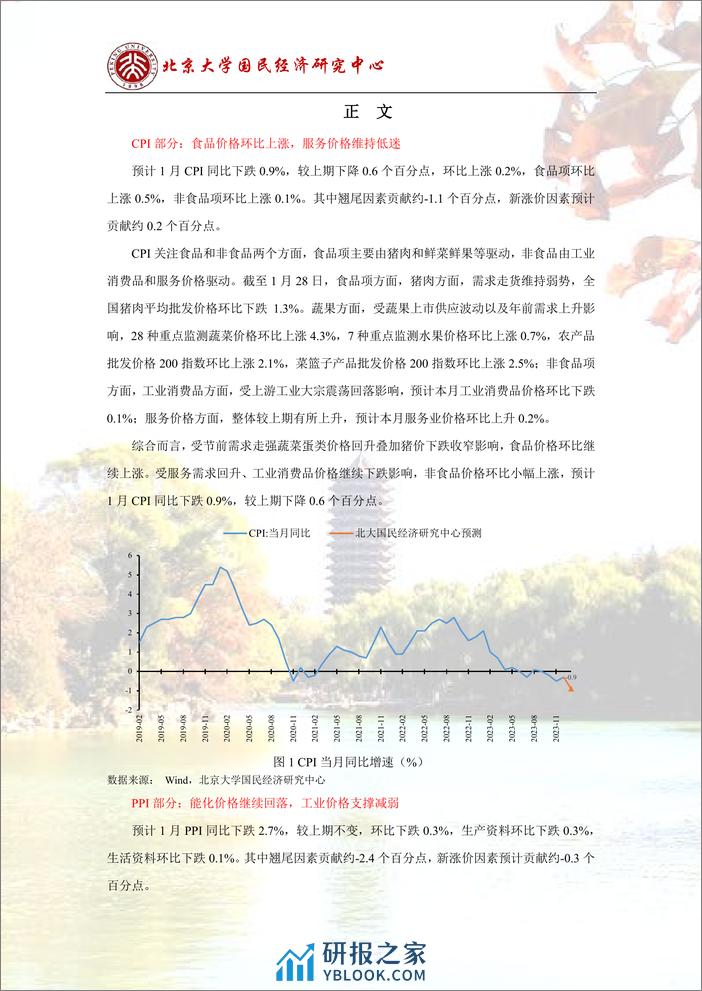 稳增长政策仍需加力，需求复苏压力仍在-北京大学 - 第3页预览图