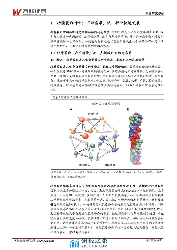 美容护理行业深度报告：功能蛋白下游需求广泛，行业先驱锦波生物高速成长 - 第5页预览图