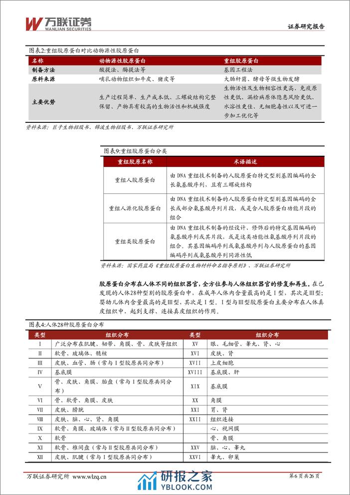 美容护理行业深度报告：功能蛋白下游需求广泛，行业先驱锦波生物高速成长 - 第6页预览图