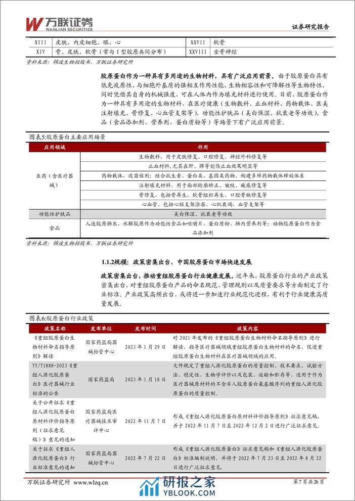 美容护理行业深度报告：功能蛋白下游需求广泛，行业先驱锦波生物高速成长 - 第7页预览图