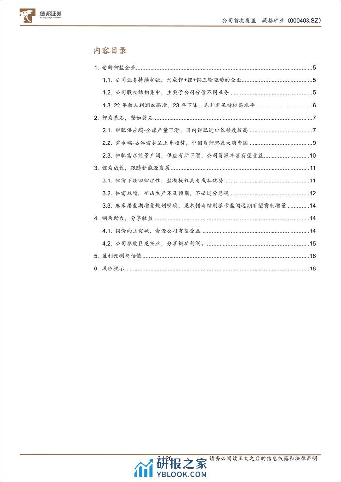 深度报告-20240401-德邦证券-藏格矿业-000408.SZ-钾为基石_锂为成长_铜为助力_共创未来_20页_1mb - 第3页预览图