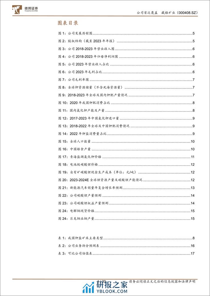 深度报告-20240401-德邦证券-藏格矿业-000408.SZ-钾为基石_锂为成长_铜为助力_共创未来_20页_1mb - 第4页预览图