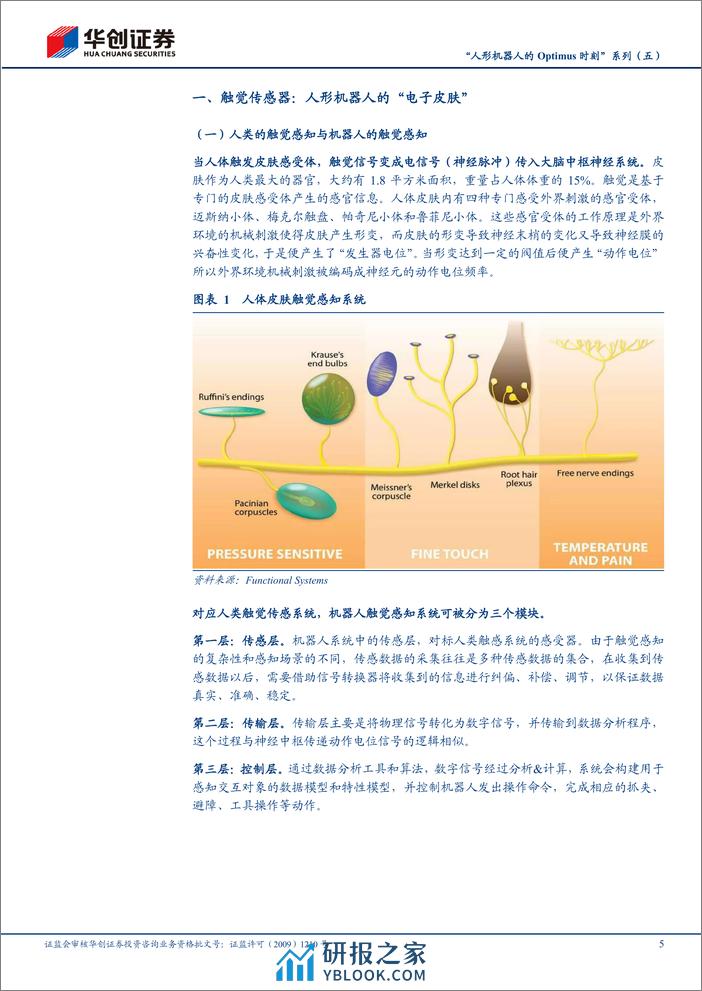 “人形机器人的Optimus时刻”系列（五）：触觉感知（电子皮肤）：高山将越，坦途在望 - 第5页预览图