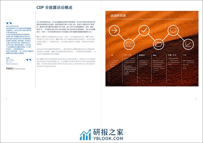 非披露活动2023年结果报告-CDP - 第4页预览图